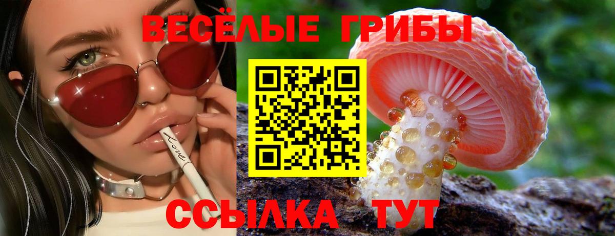 Галлюциногенные грибы GOLDEN TEACHER  Псилоцибиновые грибы мухоморы  Вход с VPN  Йошкар-Ола 