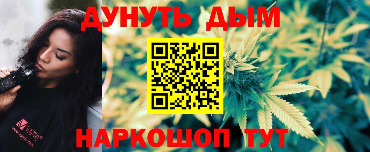 Бошки Шишки планчик Йошкар-Ола